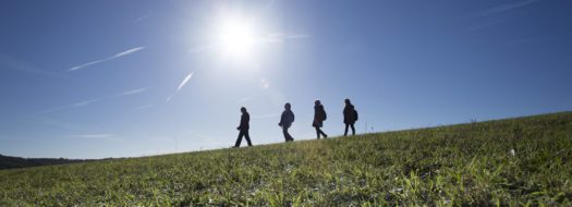 Explore Kent’s top 5 family walks