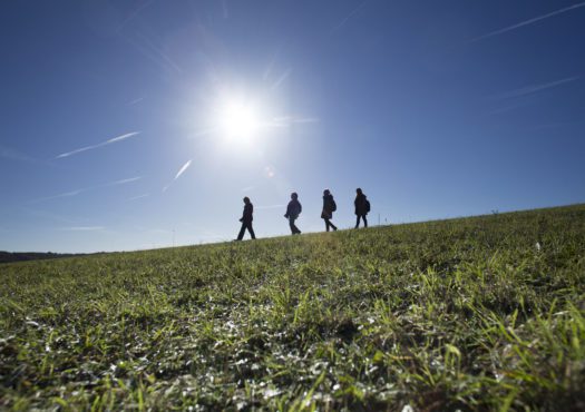 Family group walking together in silhouette