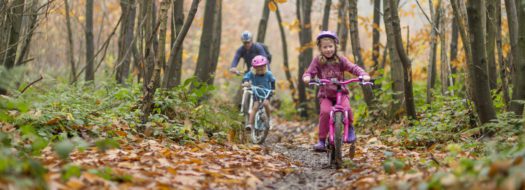 Bedgebury National Pinetum & Forest