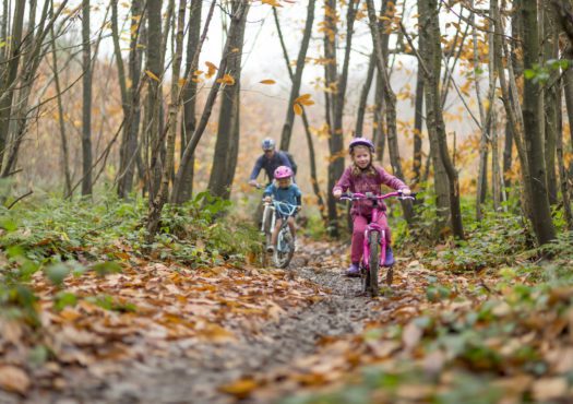 Family cycling in Bedgebury forest