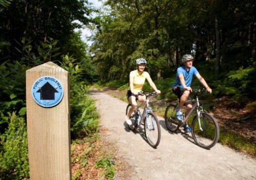 Couple cycling on a cycle route