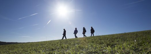 Family walks in Kent