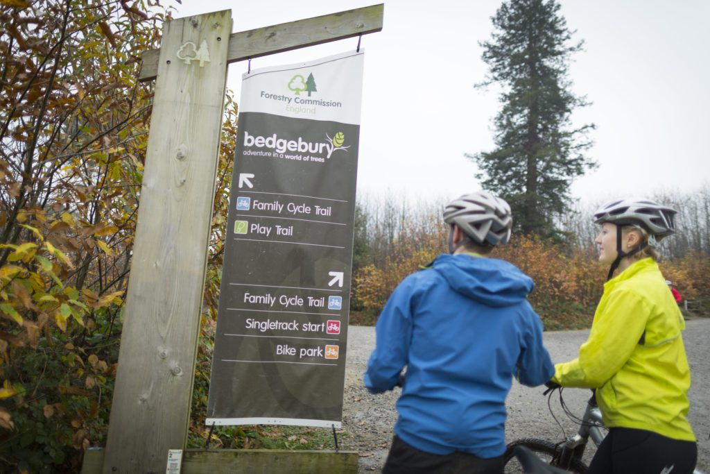 A couple cycling at Bedgebury Forest