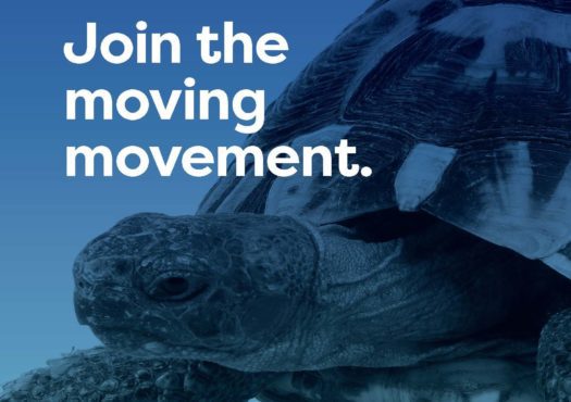 A Moving Medicine Poster with a tortoise