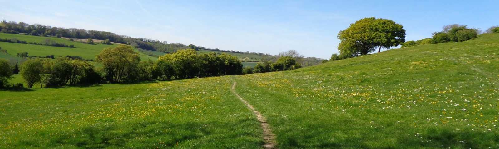 Medway country walk