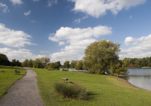 An easy access walking trail at Haysden Country Park