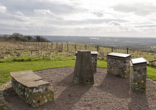 A view from White Horse Wood easy access trail