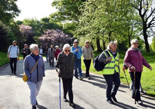 Group of people walking in a park