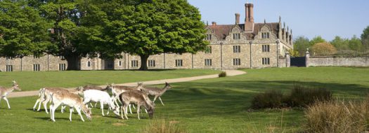 Knole Park stile free trail