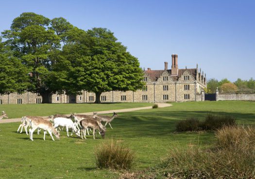 Knole Park