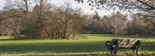 Camer Park stile free trail