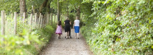 Perry Wood stile free trails