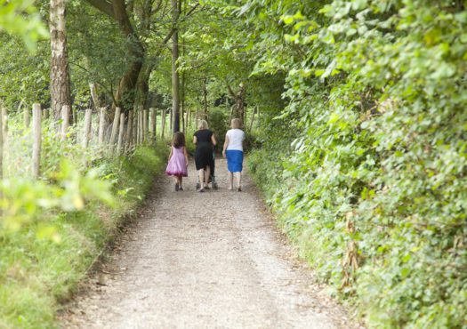 Walkers in Perry Wood