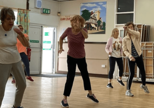 Group of ladies doing exercises