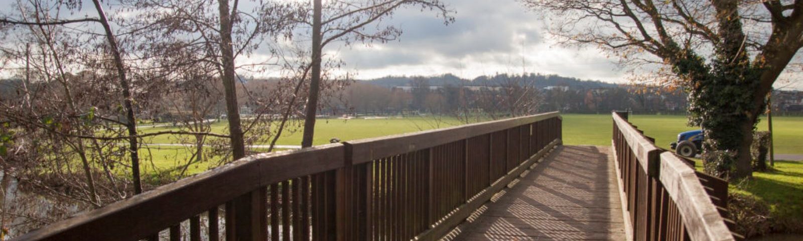 Bridge in park