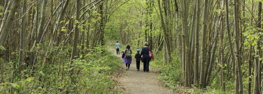 Kent Country Parks