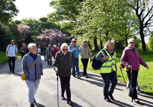 Group of people walking in a park