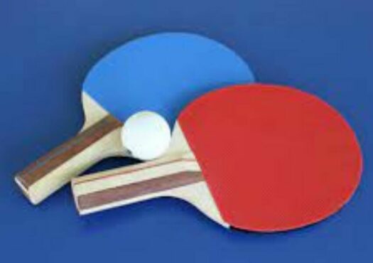 table tennis bats