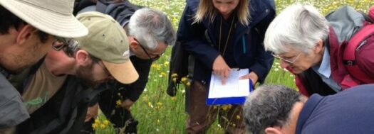 Medway Valley Wellbeing Walks