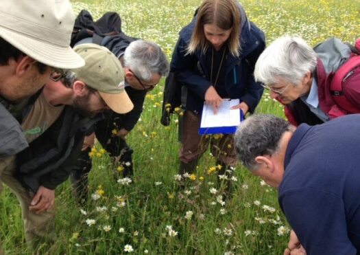 group of people studying flowers