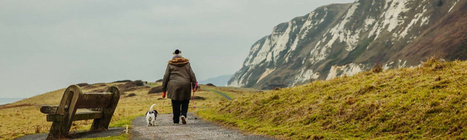 person walking dog along path