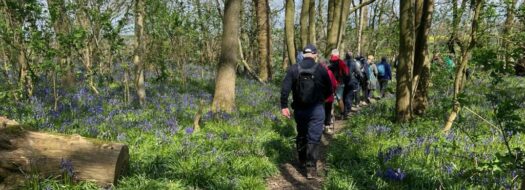 White Cliffs Ramblers (Dover District)