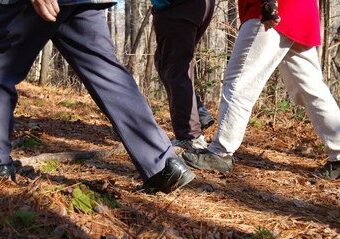 people walking in the woods