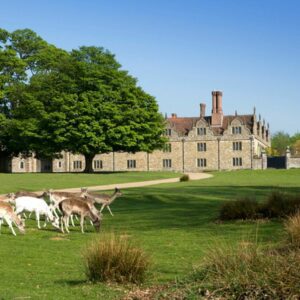 Knole house and park