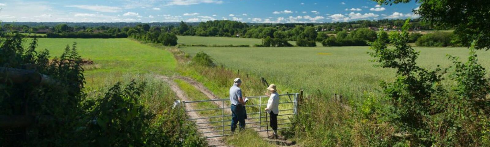 Otford views of fields