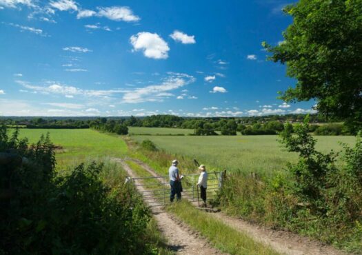 Otford views of fields