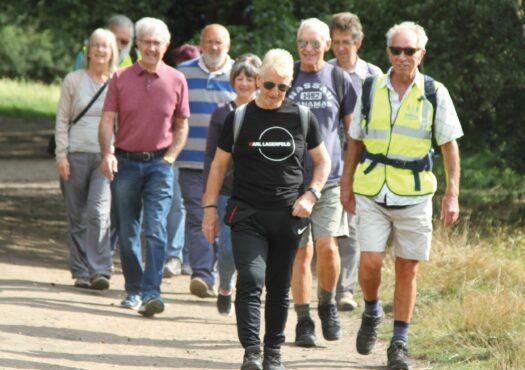 Group of people walking in the park