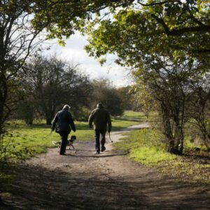 two people walking along path