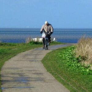 man on a bike cycling along a path