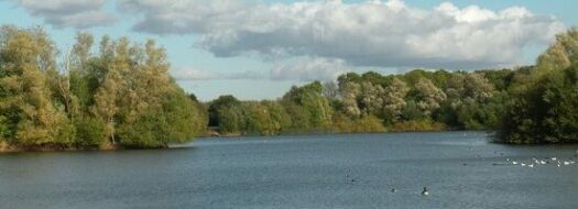 Walk 4 Wellbeing (Tonbridge and Malling)