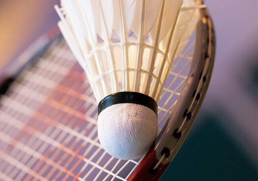 picture of badminton racket