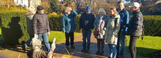 Sunflower Wellbeing Walks in Folkestone