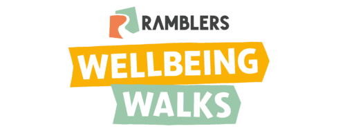 Wellbeing Walk – Bedgebury Pinetum