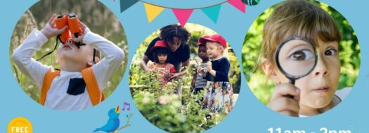 FREE Park Nature Workshops
