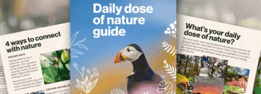 Prescription for Nature – a free wellbeing guide