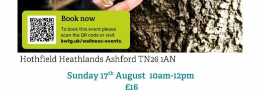 Wellness Walk at Hothfield Heathlands