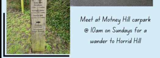 Mindful Steps Riverside Community walk Sundays (Medway)
