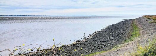 Series of Sound Walks on the Hoo Peninsula