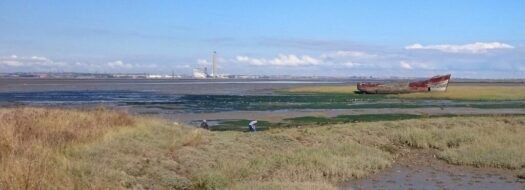 SERVICES and RESOURCES available in Medway