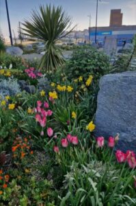 Wilderness to wonderland flowers