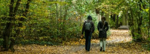 Free Wellbeing Walks