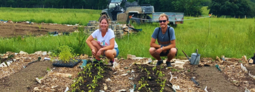 Bore Place Community Garden