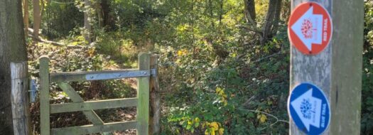 Bore Place Walks
