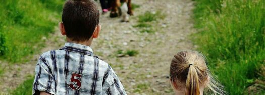 Family Nature Walks at Hothfield Heathlands