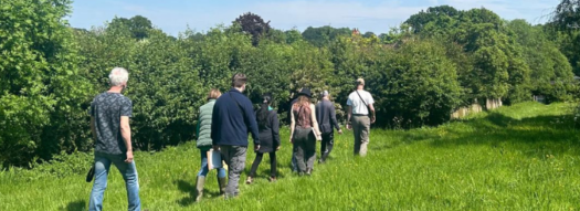 Wilder Wellbeing at Bore Place