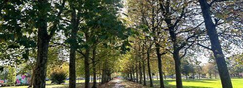 Wilder Wellbeing- Ashford